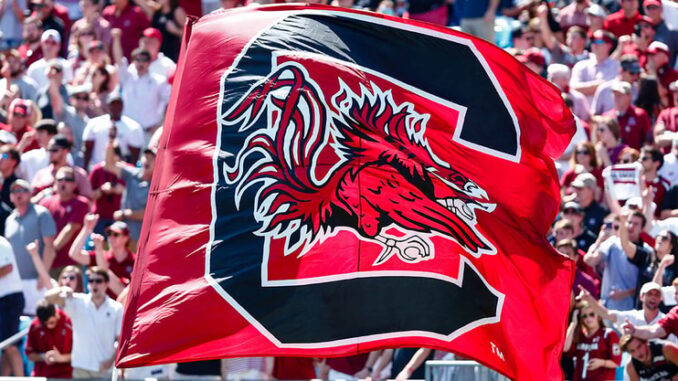 south-carolina-flag